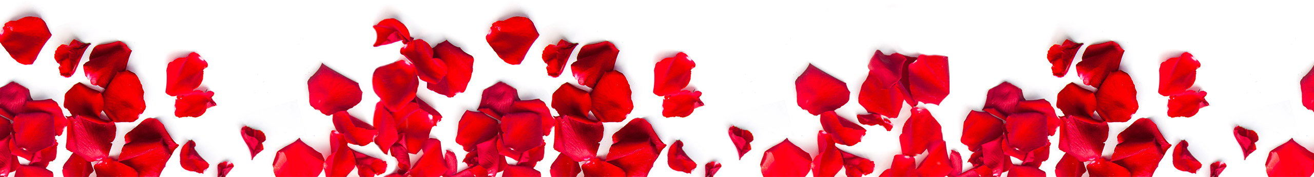 Rose petals ready at the table