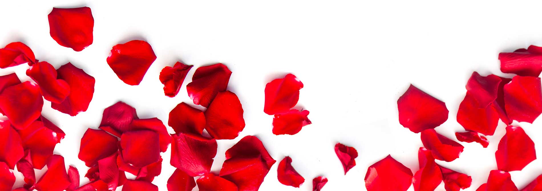 Rose petals ready at the table