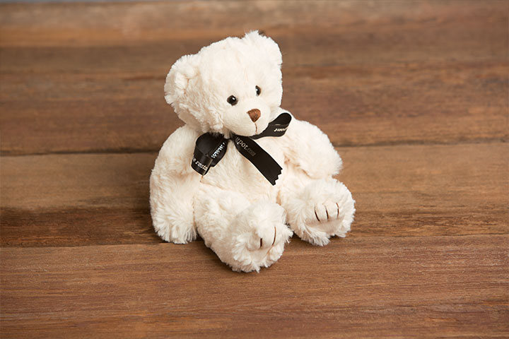 TEDDY-BEAR