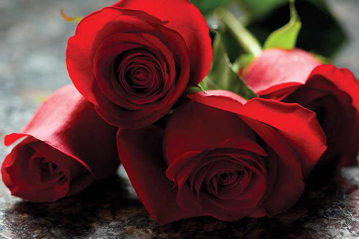 Rose Packages at the Raleigh North Carolina Melting Pot